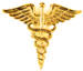 Army Medical Corps Branch Insignia